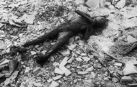 naga.jpg (63936 bytes)